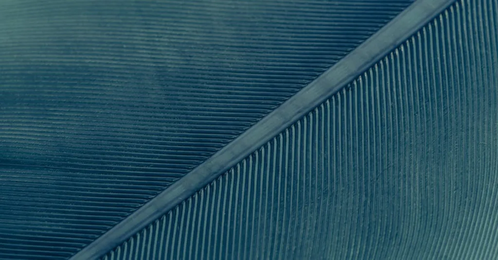 découvrez notre metissage latissimus pull down, l'exercice idéal pour renforcer et sculpter votre dos avec efficacité et confort.