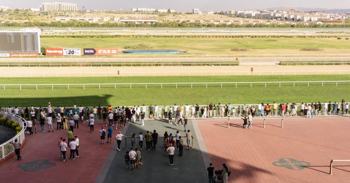 découvrez tout sur les paris sportifs : astuces, types de paris, conseils pour débutants et actualités pour miser intelligemment sur vos sports favoris.