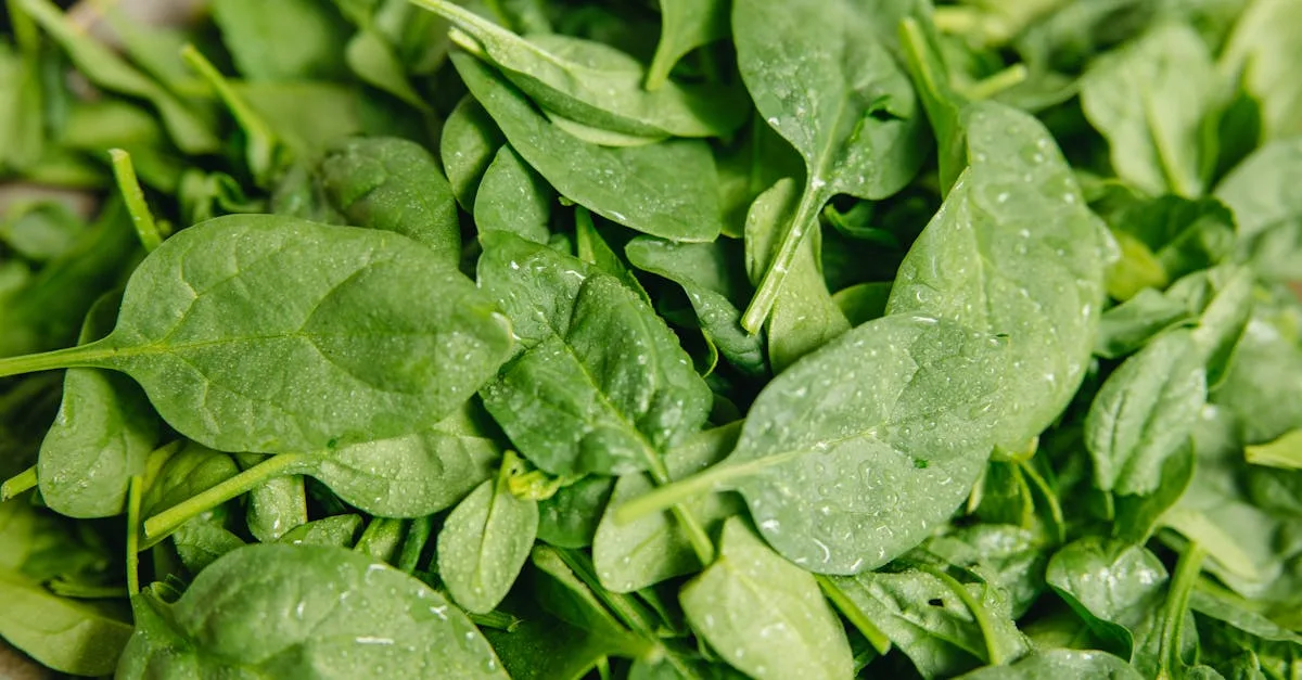 découvrez la nutrition personnalisée : un régime adapté à vos besoins uniques pour une santé optimale et un bien-être durable.