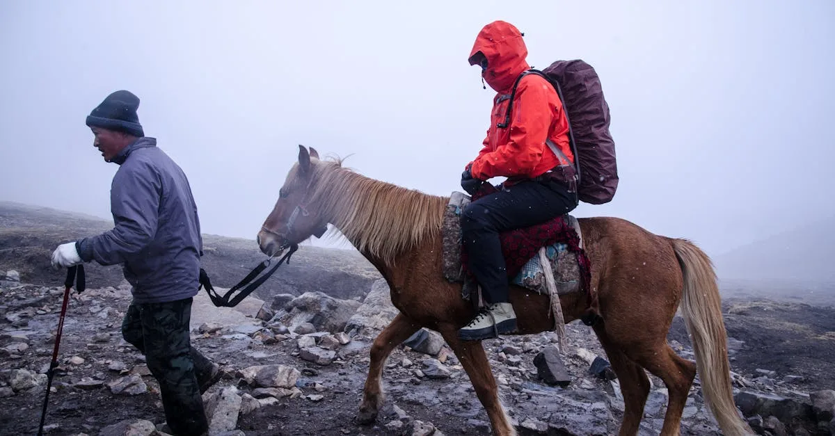 découvrez le guide de randonnée 2025 pour préparer vos aventures en pleine nature avec conseils, itinéraires et équipements essentiels.