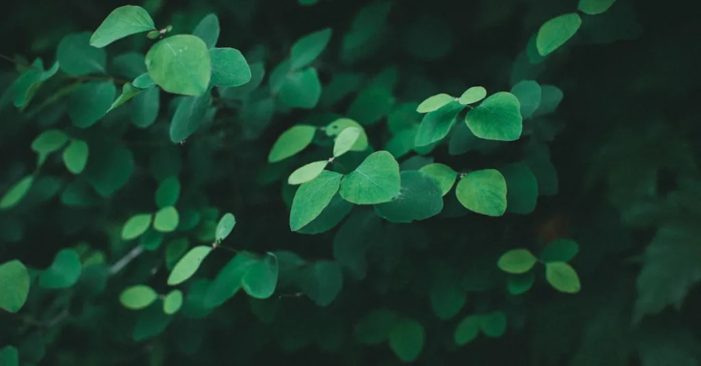 le nœud de cabestan est un nœud d'attache simple et fiable, idéal pour fixer une corde autour d'un objet ou pour sécuriser des charges. facile à réaliser, il est couramment utilisé en escalade, navigation et camping.