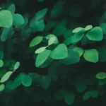 le nœud de cabestan est un nœud d'attache simple et fiable, idéal pour fixer une corde autour d'un objet ou pour sécuriser des charges. facile à réaliser, il est couramment utilisé en escalade, navigation et camping.