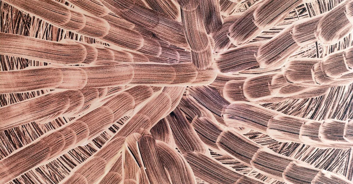 découvrez tout sur la fibrine, une protéine essentielle à la coagulation sanguine et à la cicatrisation des plaies.