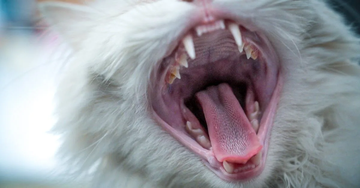 découvrez les causes, symptômes et traitements pour un palais enflé afin de mieux comprendre et soulager cet inconfort buccal.