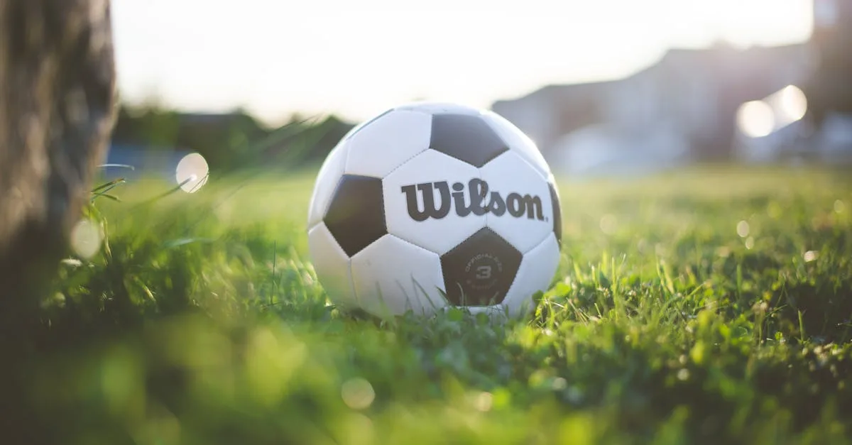 profitez des soldes d'été sur les articles de sport : équipements, vêtements et accessoires pour toutes vos activités sportives estivales à prix réduits.