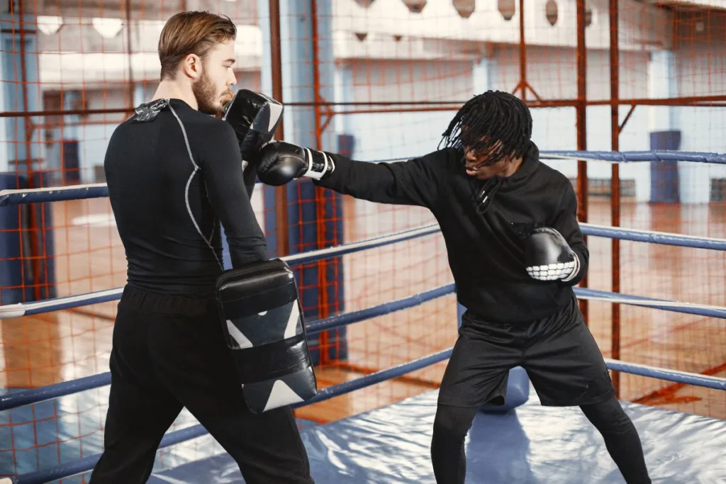 meilleurs paos de boxe