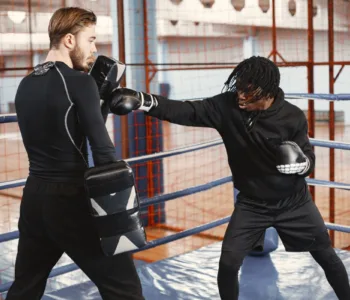 meilleurs paos de boxe