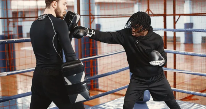 meilleurs paos de boxe