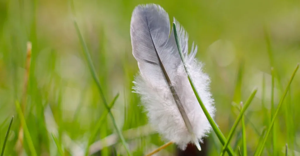 découvrez webfeather, votre solution moderne et légère pour un développement web rapide et performant. simplifiez la création de sites avec des outils innovants et efficaces.