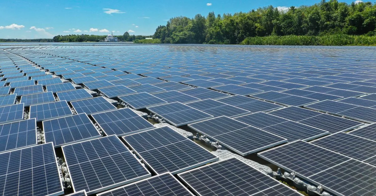 découvrez les dernières innovations écologiques qui révolutionnent la protection de l'environnement et favorisent un avenir durable.