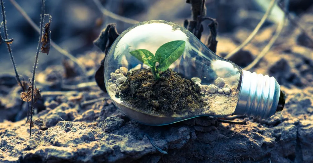 découvrez les dernières innovations écologiques alliant technologie et durabilité pour un avenir respectueux de l'environnement.