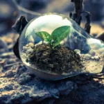 découvrez les dernières innovations écologiques alliant technologie et durabilité pour un avenir respectueux de l'environnement.
