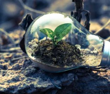 découvrez les dernières innovations écologiques alliant technologie et durabilité pour un avenir respectueux de l'environnement.