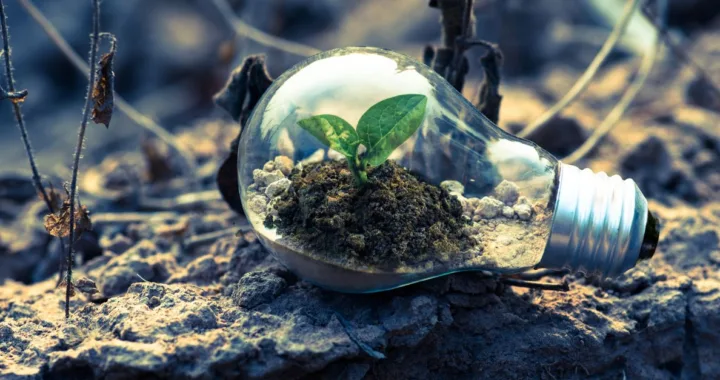 découvrez les dernières innovations écologiques alliant technologie et durabilité pour un avenir respectueux de l'environnement.
