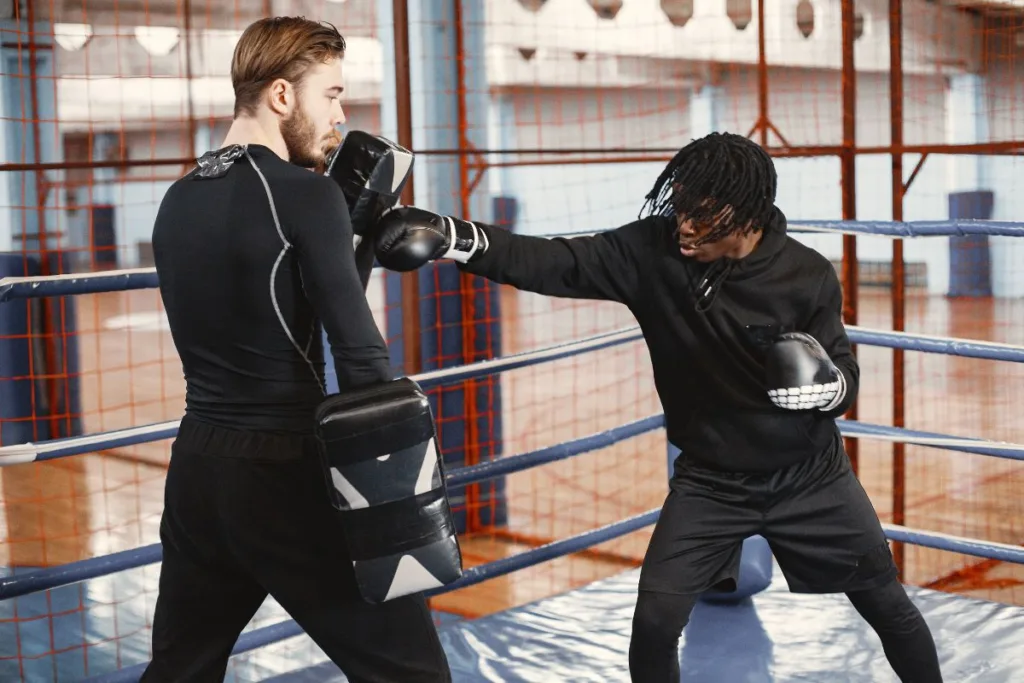 meilleurs paos de boxe