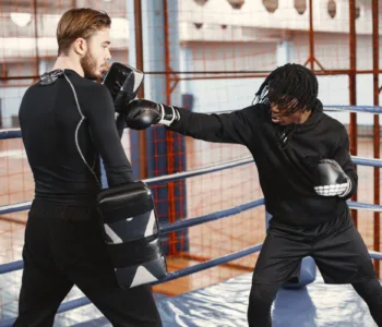meilleurs paos de boxe