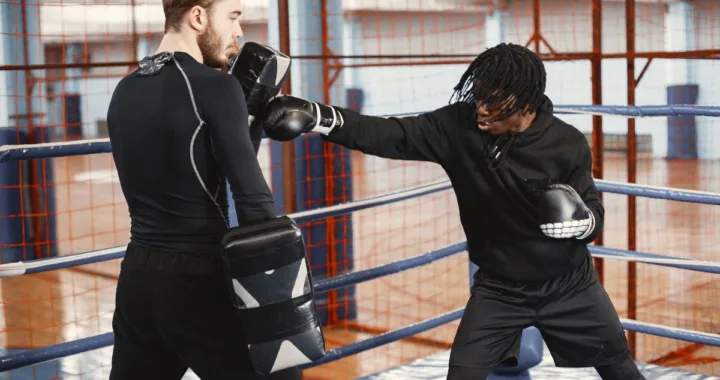 meilleurs paos de boxe