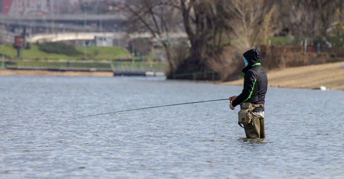 obtenez votre licence de pêche 2026 facilement et rapidement. toutes les informations nécessaires pour pêcher en toute légalité cette année.