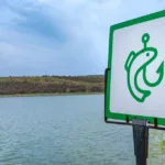 obtenez votre licence de pêche 2026 facilement et profitez pleinement de la saison de pêche avec toutes les autorisations nécessaires.