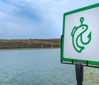 obtenez votre licence de pêche 2026 facilement et profitez pleinement de la saison de pêche avec toutes les autorisations nécessaires.