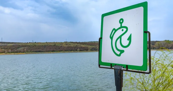 obtenez votre licence de pêche 2026 facilement et profitez pleinement de la saison de pêche avec toutes les autorisations nécessaires.