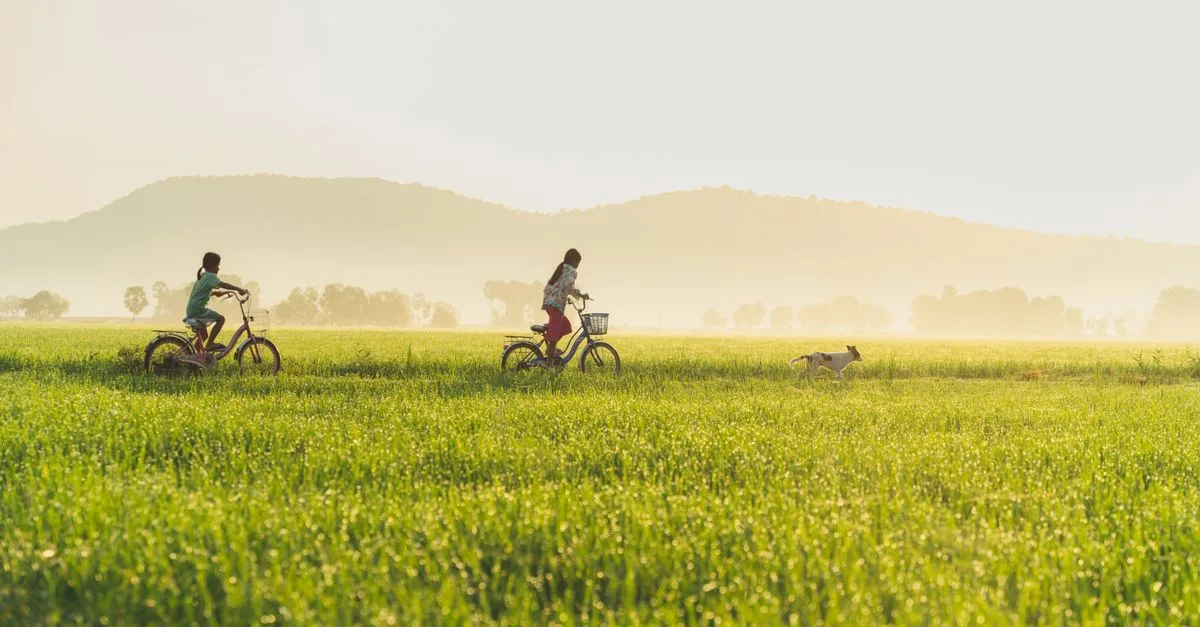 découvrez comment gérer les allergies liées au cyclisme et profitez pleinement de vos sorties à vélo sans inconfort.