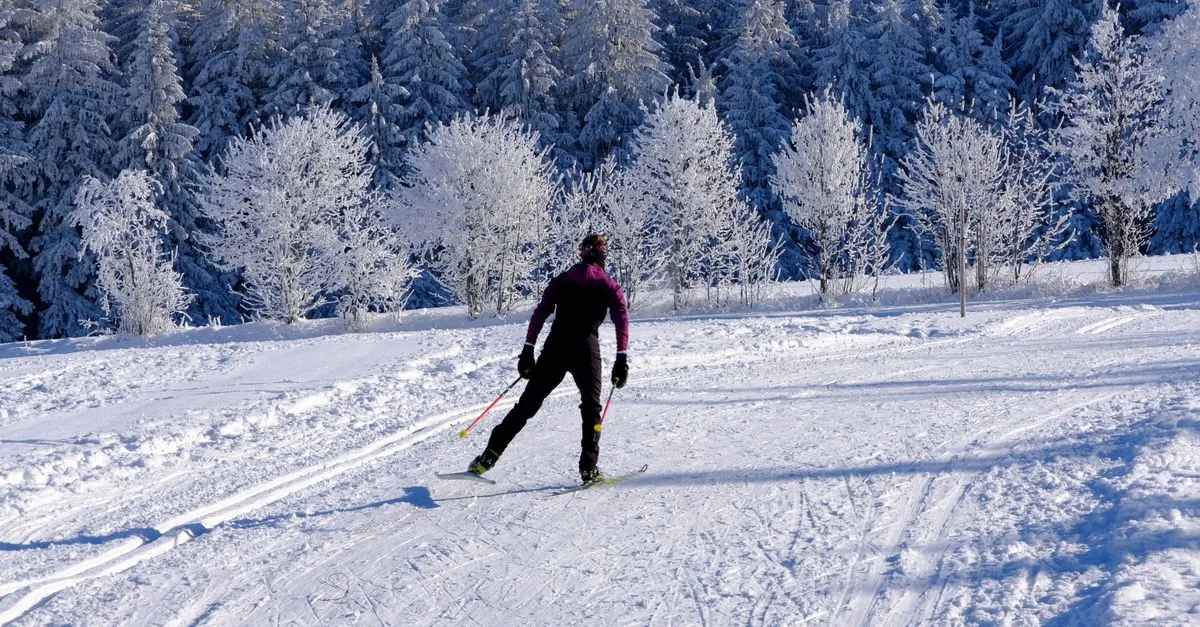 découvrez les règles et équipements essentiels pour pratiquer le biathlon en toute sécurité, du maniement de la carabine à la prévention des risques sur le parcours.