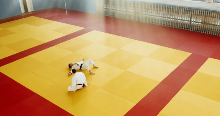 découvrez notre sélection de tapis et rings de judo pour un entraînement optimal, alliant sécurité et performance. parfaits pour les compétitions et la pratique quotidienne.